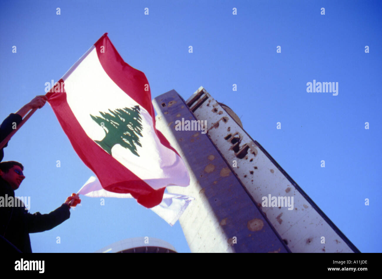 the flying cedar beirut lebanon Stock Photo