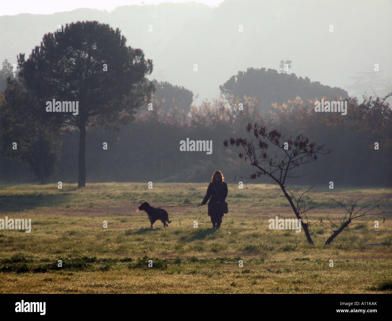 woman walking dog in park Stock Photo - Alamy