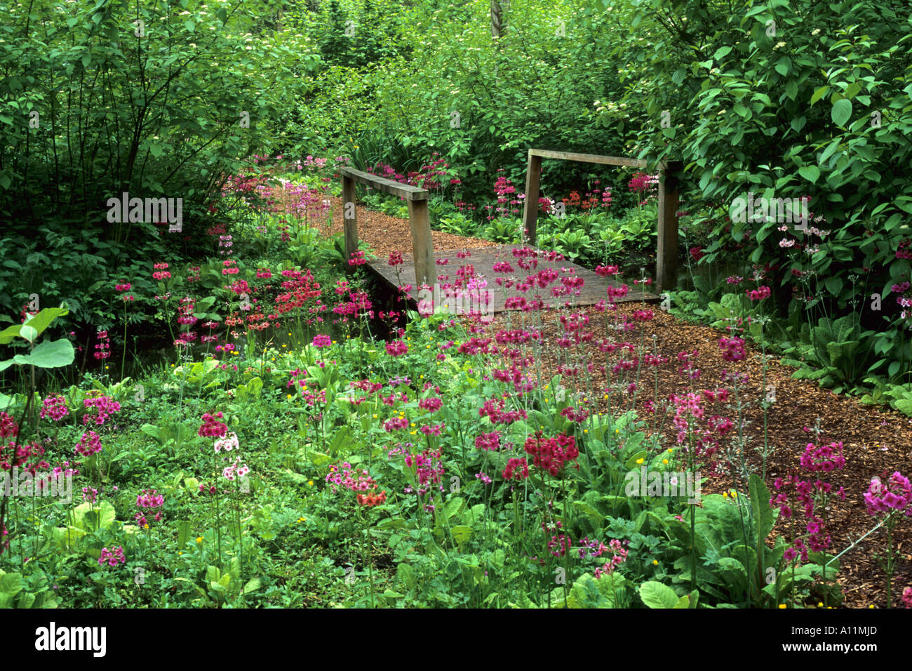 Fairhaven Water Gardens, Norfolk Stock Photo Alamy