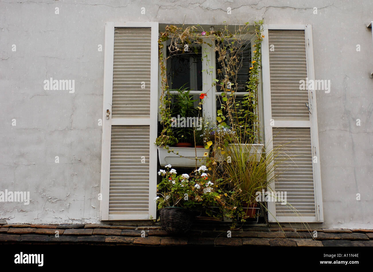 Flowers at a window Stock Photo