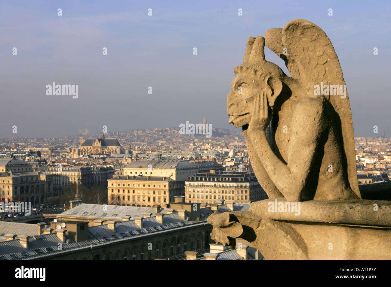 HD Photographs Of Gargoyles On Notre Dame Cathedral In Paris - Foto 3