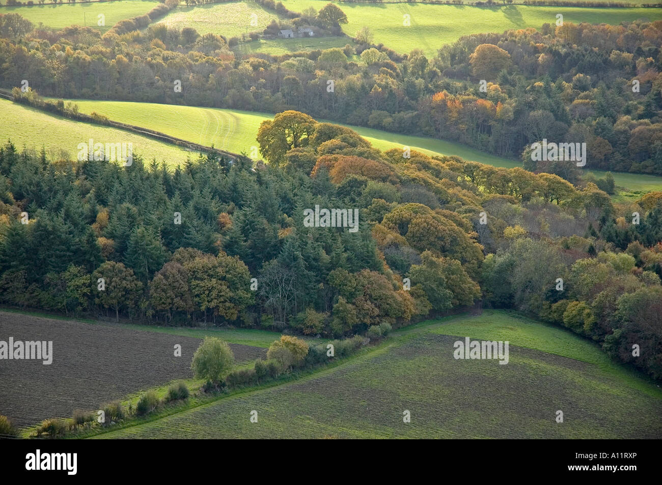 Welsh woodland setting hi-res stock photography and images - Alamy