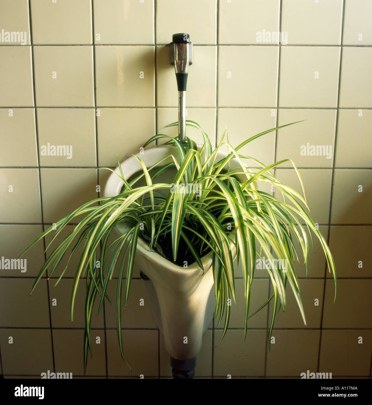 aquael leddy smart 2 plant LED -Beleuchtung Leddy Smart 2 Pflanzen Aquael White