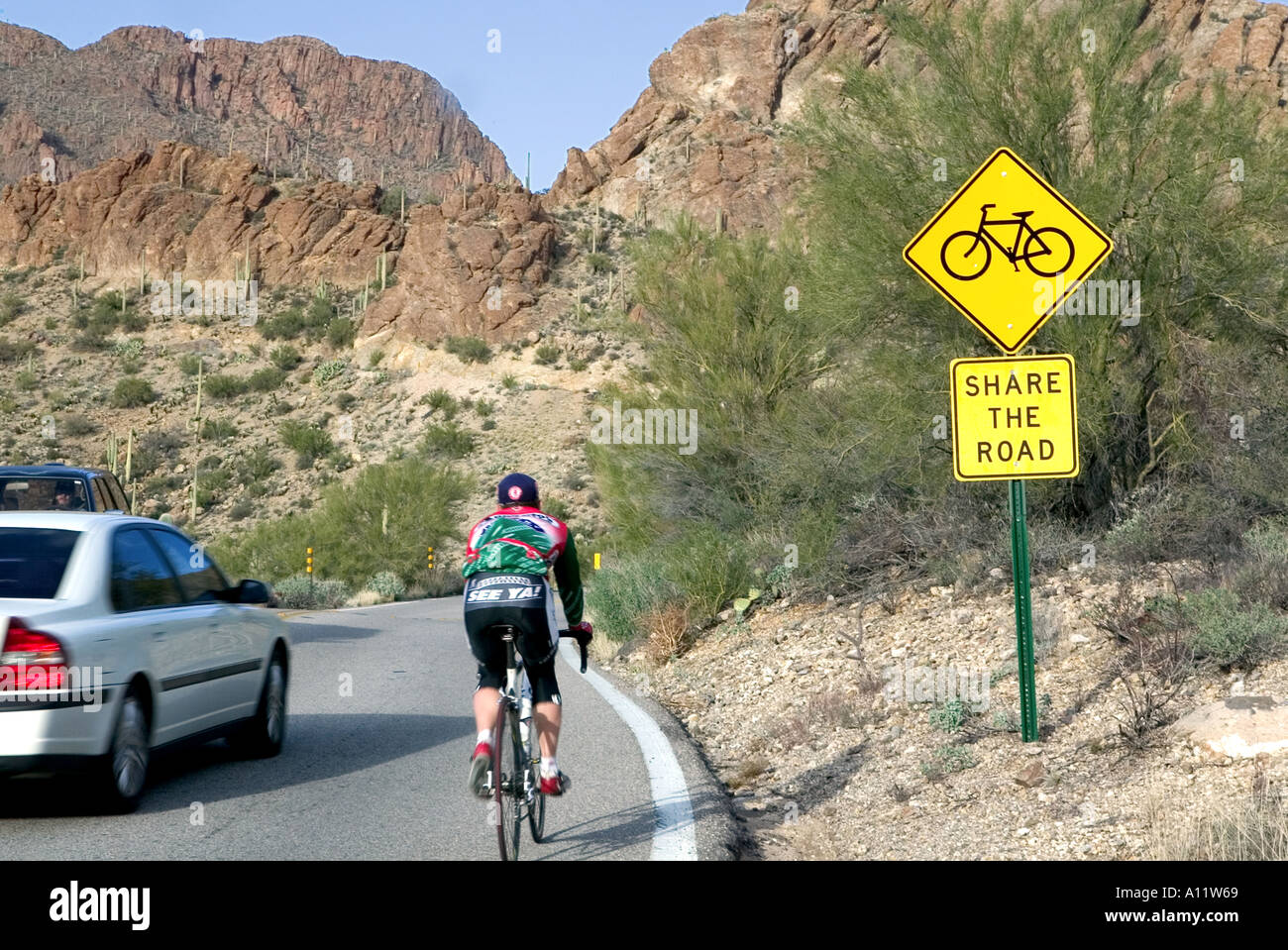 Bicycle share the road sign with cyclist and car at Gates Pass Tucson ... - Bicycle Share The RoaD Sign With Cyclist AnD Car At Gates Pass Tucson A11W69