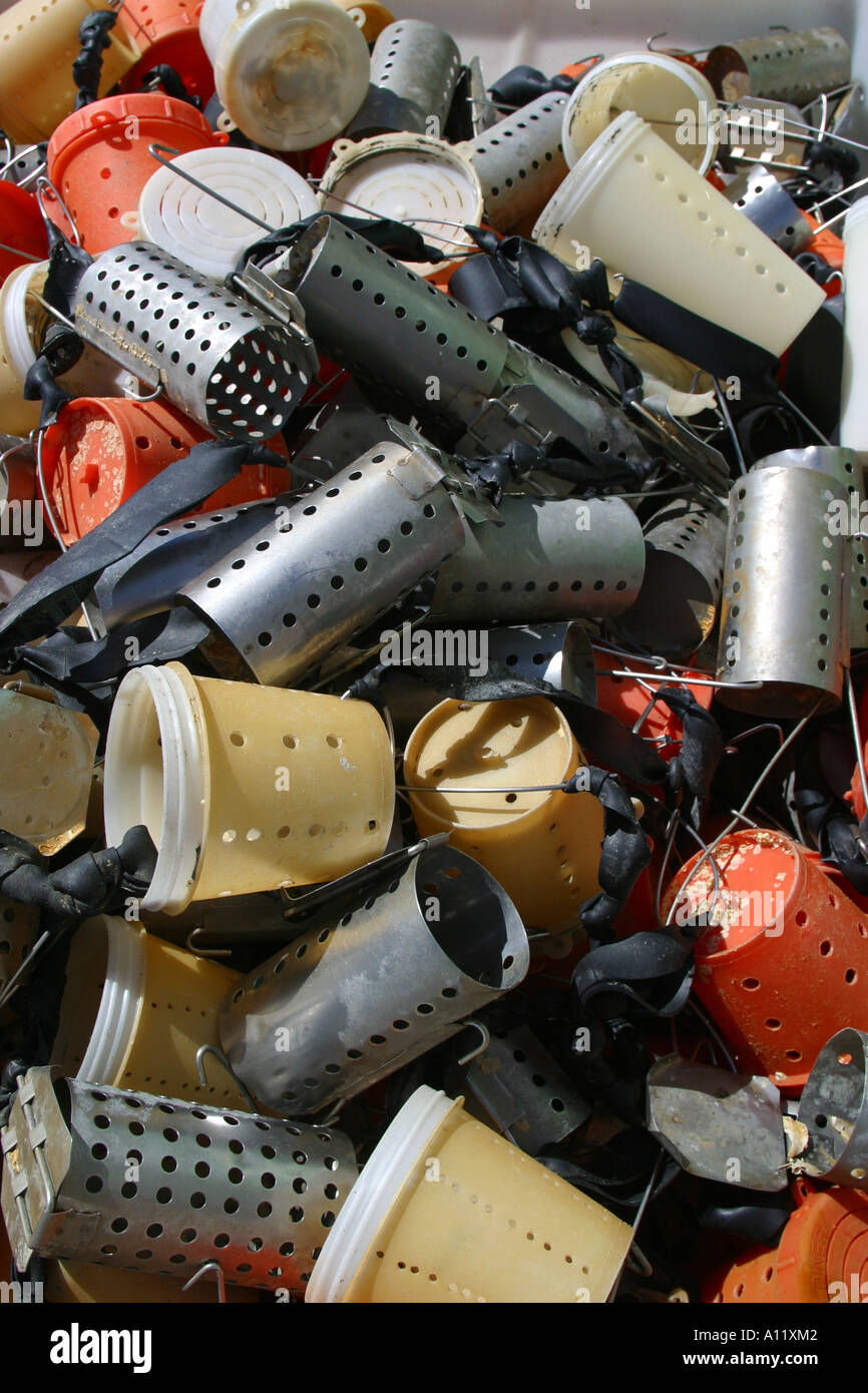 Bait jars for catching crabs Stock Photo Alamy