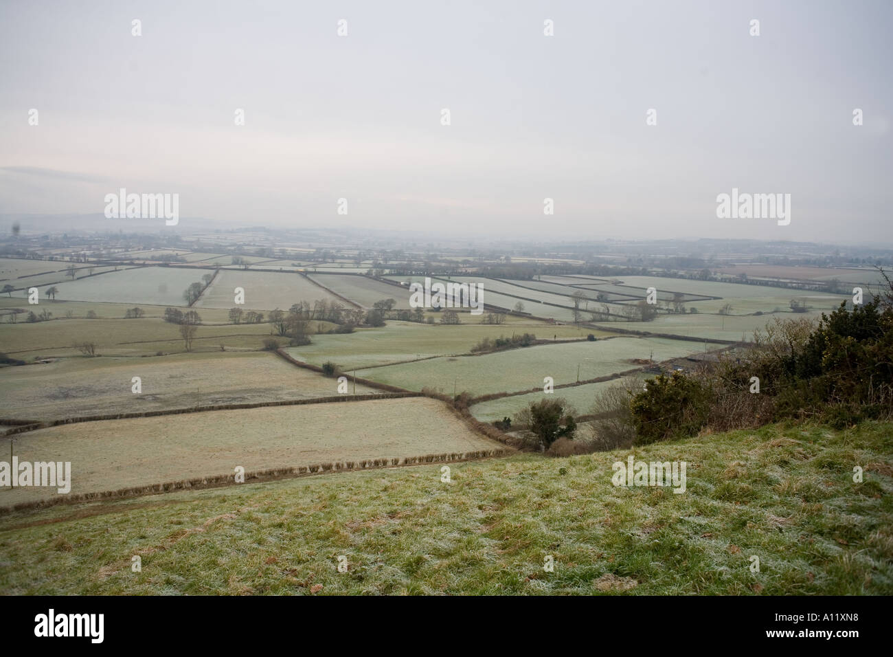 Winter Country Scene near West Chinnock, Somerset Stock Photo