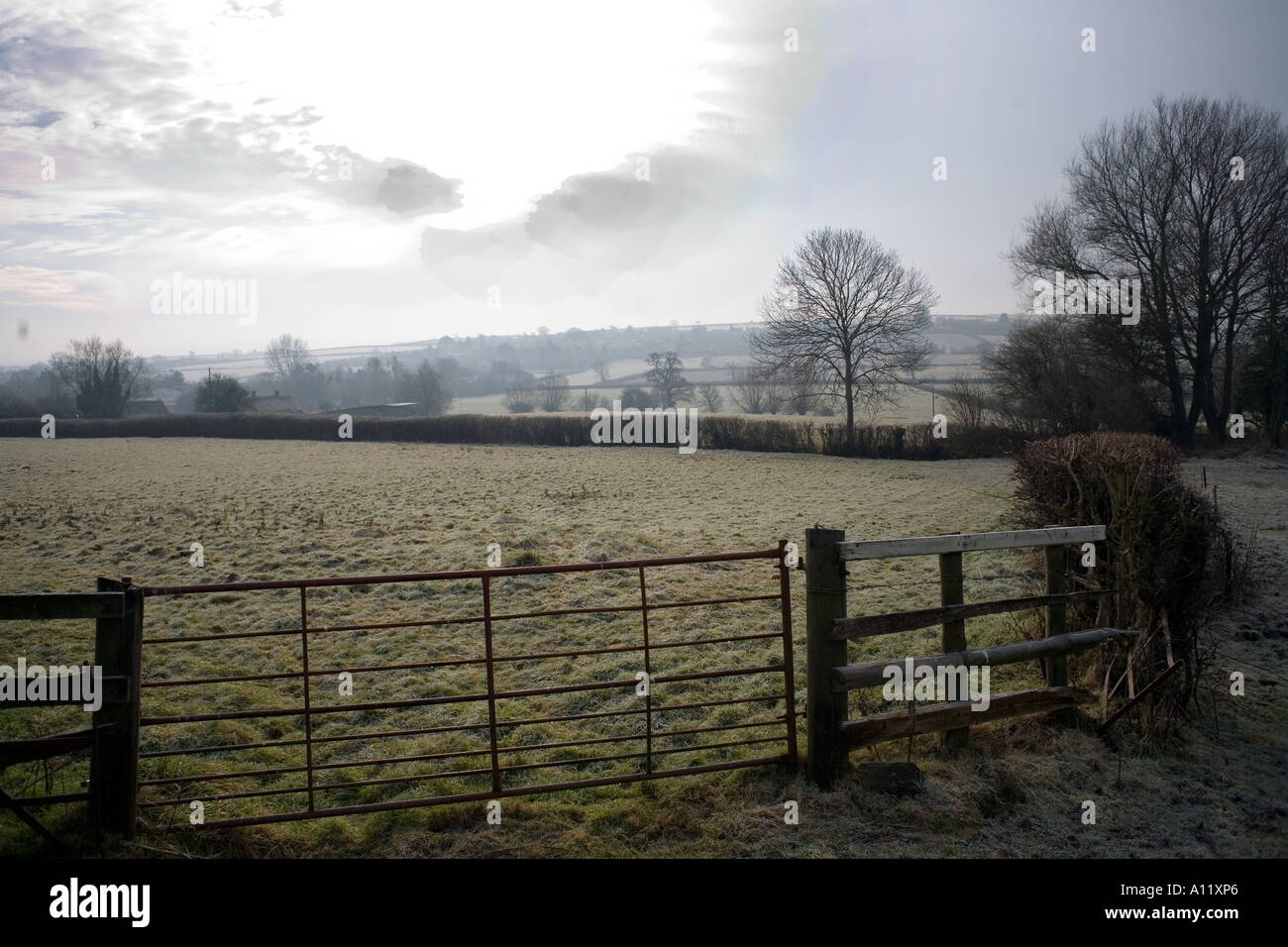 Winter Country Scene near West Chinnock, Somerset Stock Photo