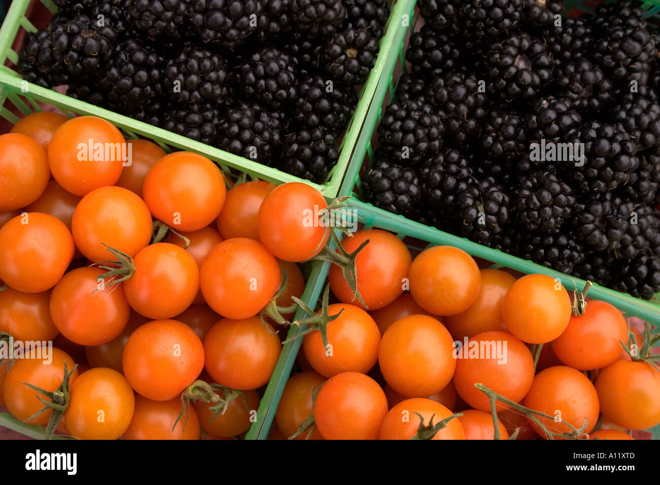 Blackberries and tomatoes for sale at an outdoor market on the Oregon