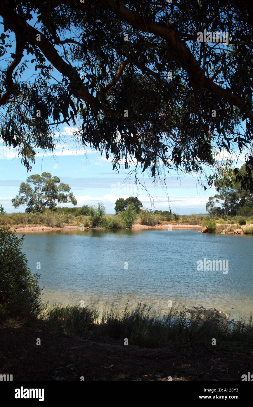 South African lake and countryside Helderberg Stellenbosch western cape