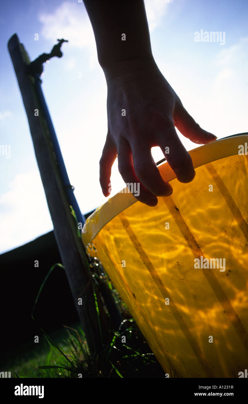 Person lifting a full bucket of water next to a garden tap Stock Photo