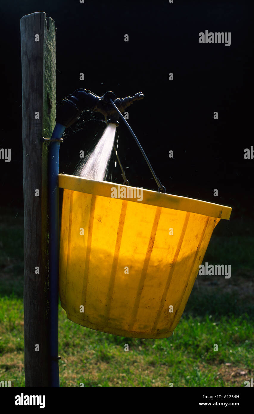 Yellow bucket being filled with water from a garden tap Stock Photo
