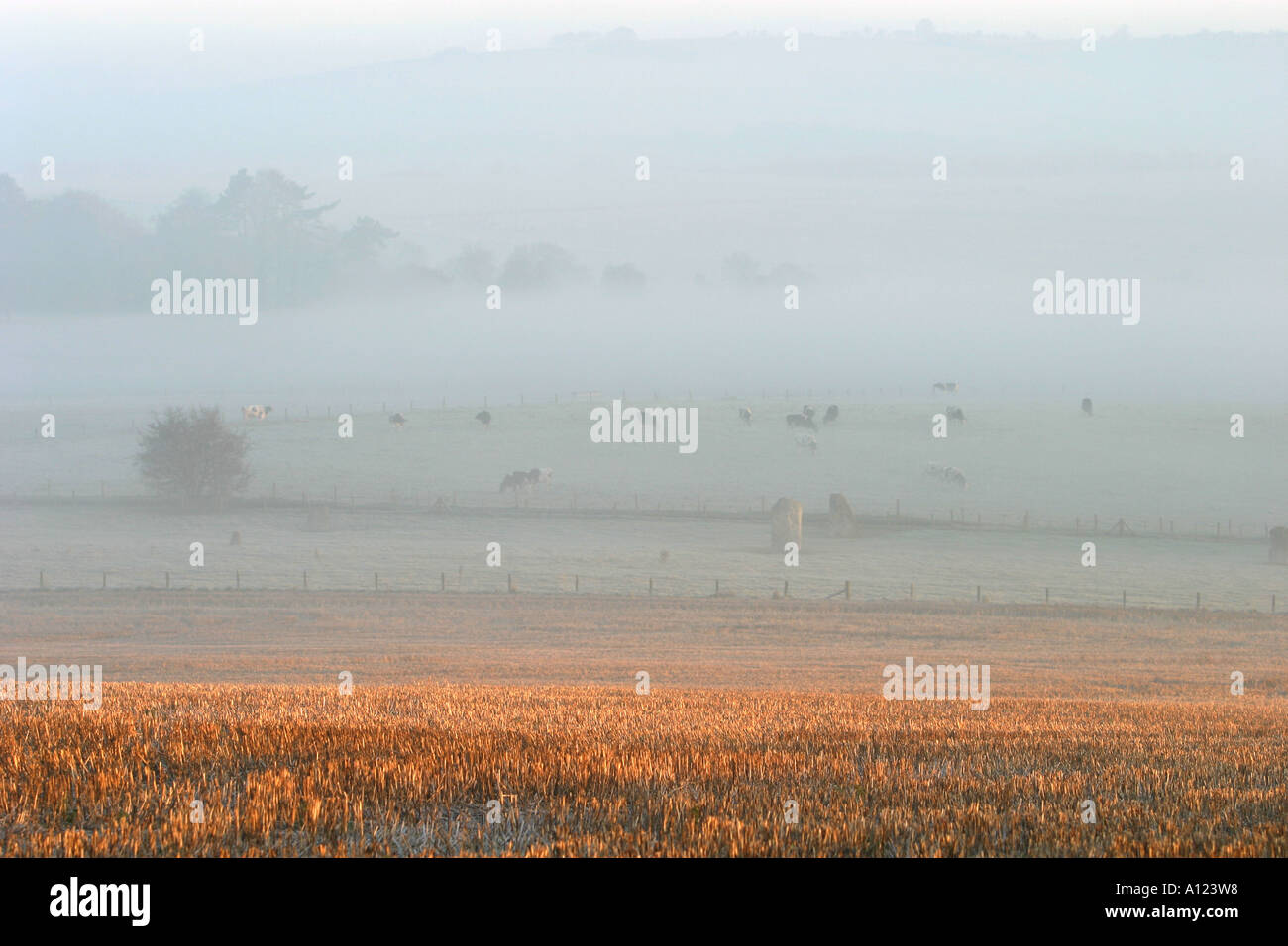 Mist rolling across the landscape early in the morning near Avebury Wiltshire Stock Photo
