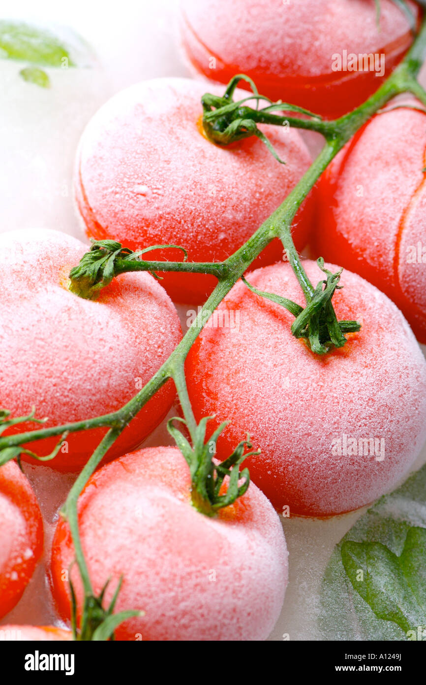 Tomato and basil arranged in a block of ice Stock Photo Alamy