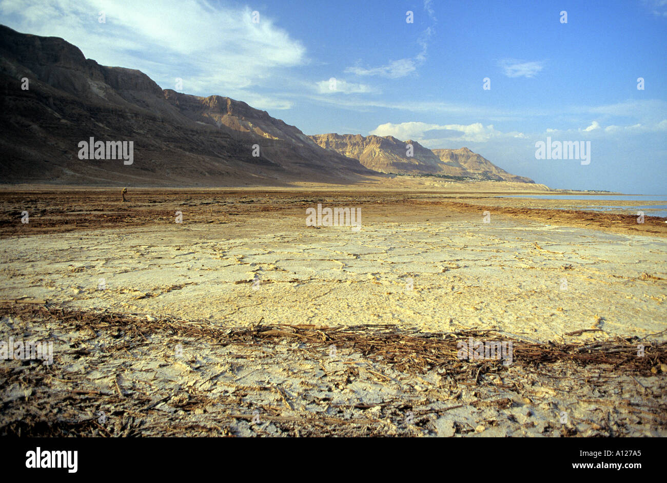Dead Sea Israel Middle East Stock Photo