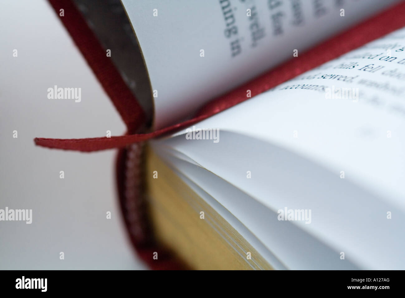 open book with  red bookmark Stock Photo