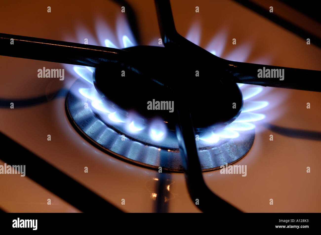 Gas stove flame Stock Photo Alamy