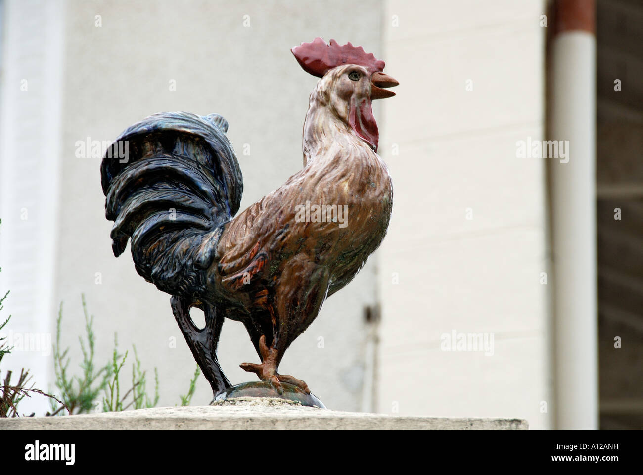 Mini Country Rooster and Hen Ceramic Salt and Pepper Shakers, Set of 4 -  Tableware - Appletree Design