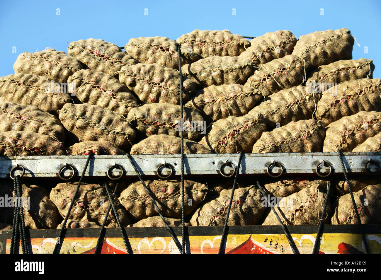 Onion transportation packed in jute bags loaded in truck Dhule