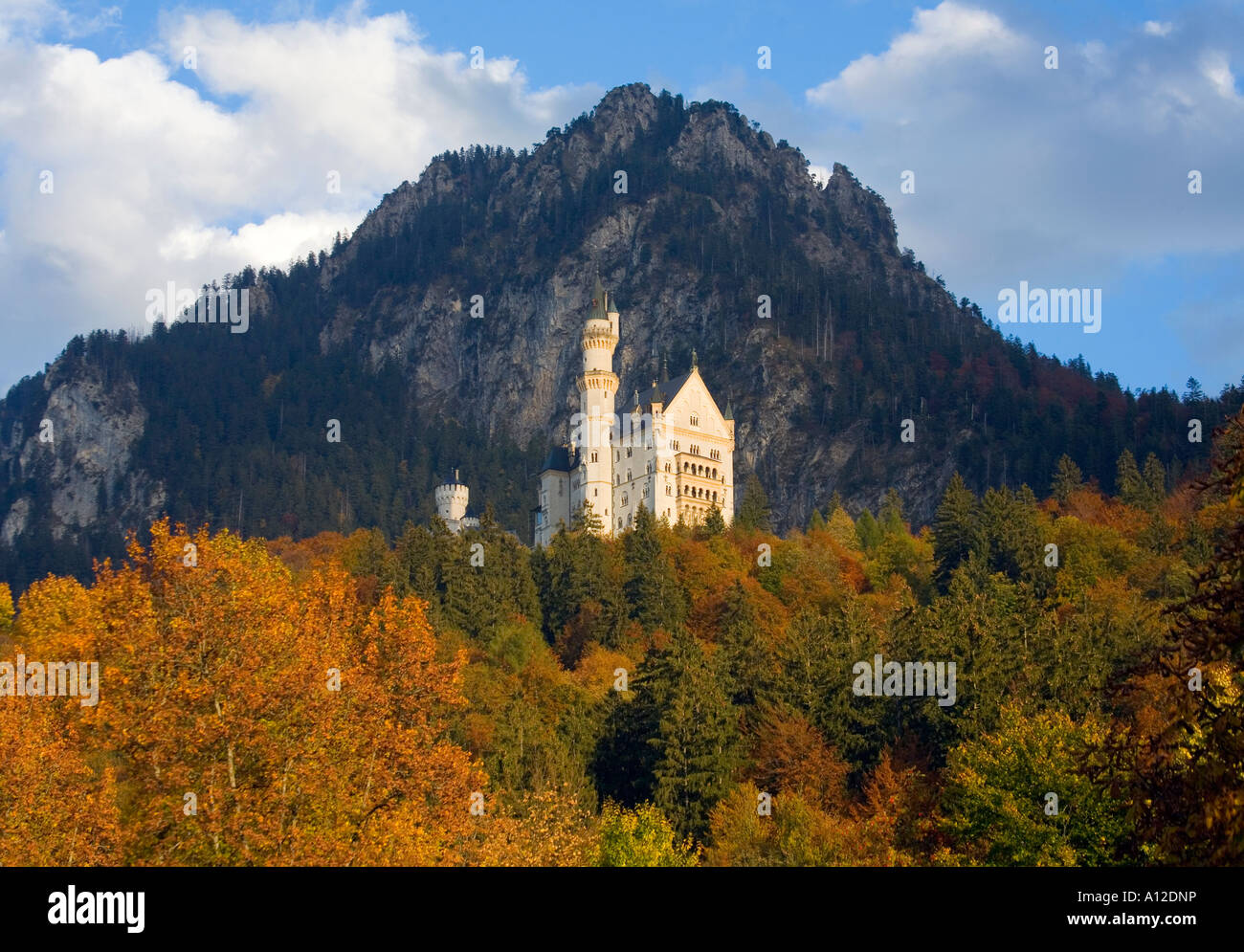 Neuschwanstein Castle at fall Bavaria Germany Stock Photo