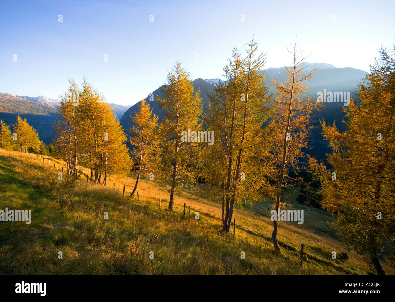 High Alps at fall Austria Stock Photo - Alamy