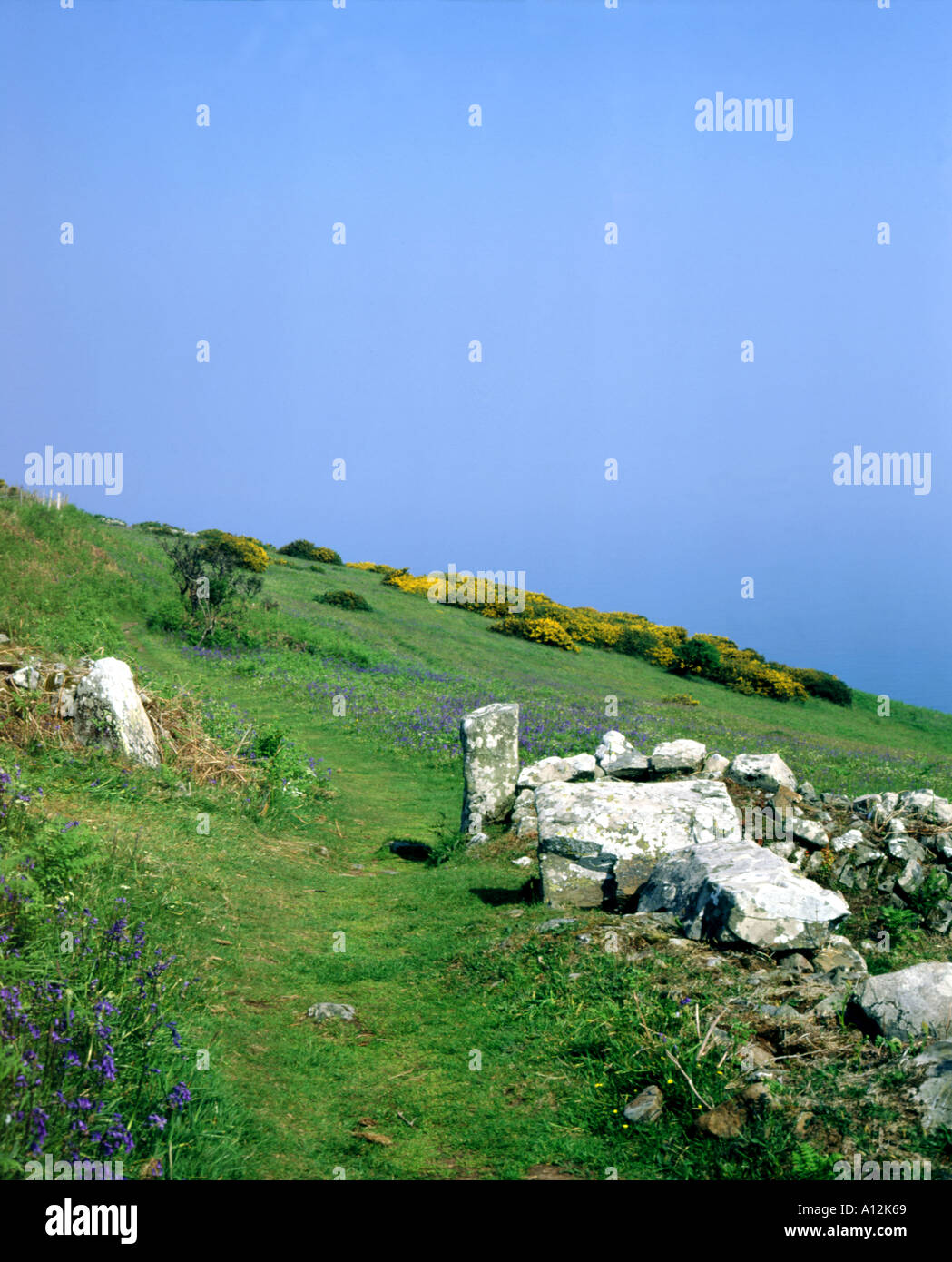 pembroke coastal path near cemaes head west wales Stock Photo Alamy