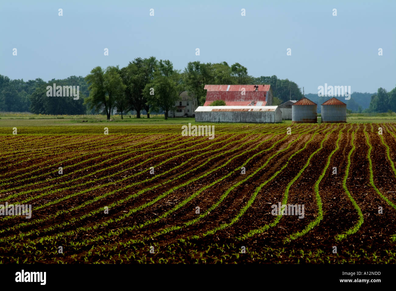 Field of nearly planted corn with barn in background Stock Photo - Alamy