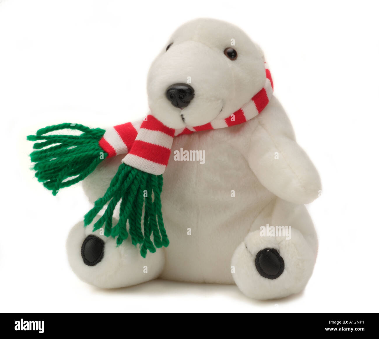white back ground background cut out cutout copyspace studio polar bear