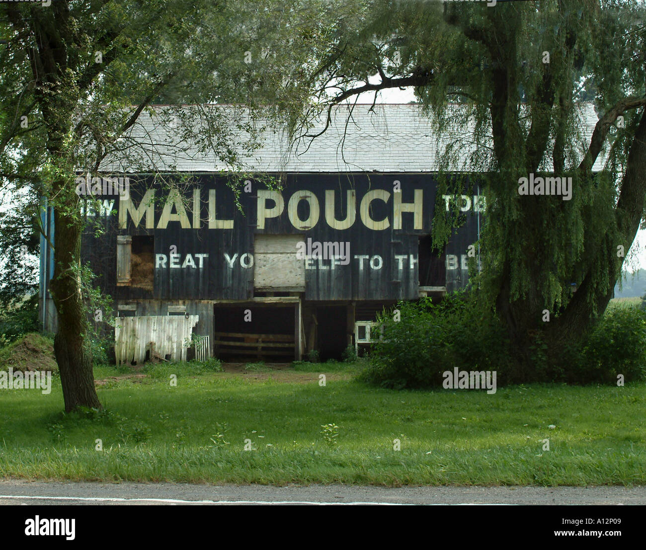 Mail pouch barn in the trees Stock Photo Alamy