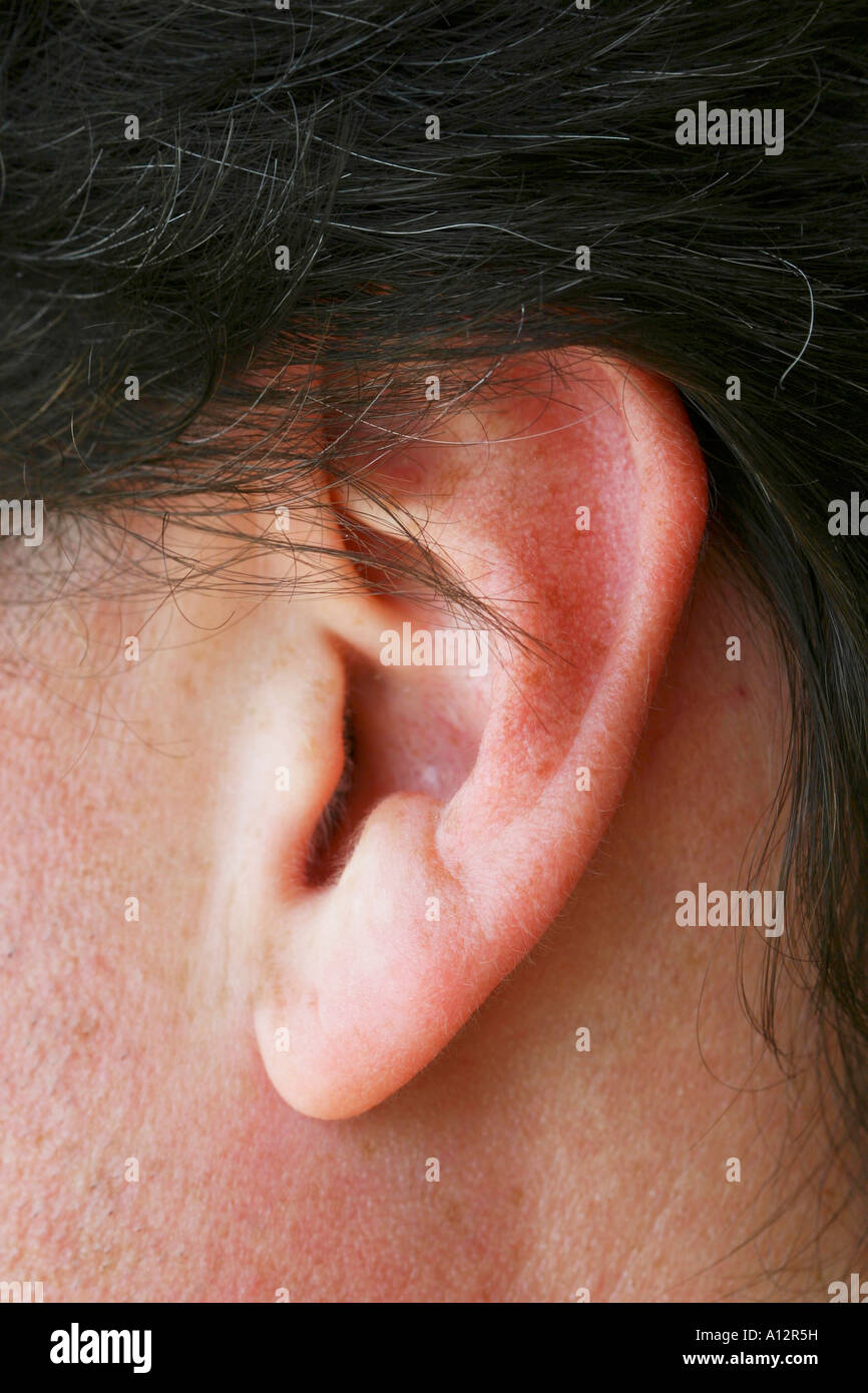 Ear of mid-thirties male Stock Photo