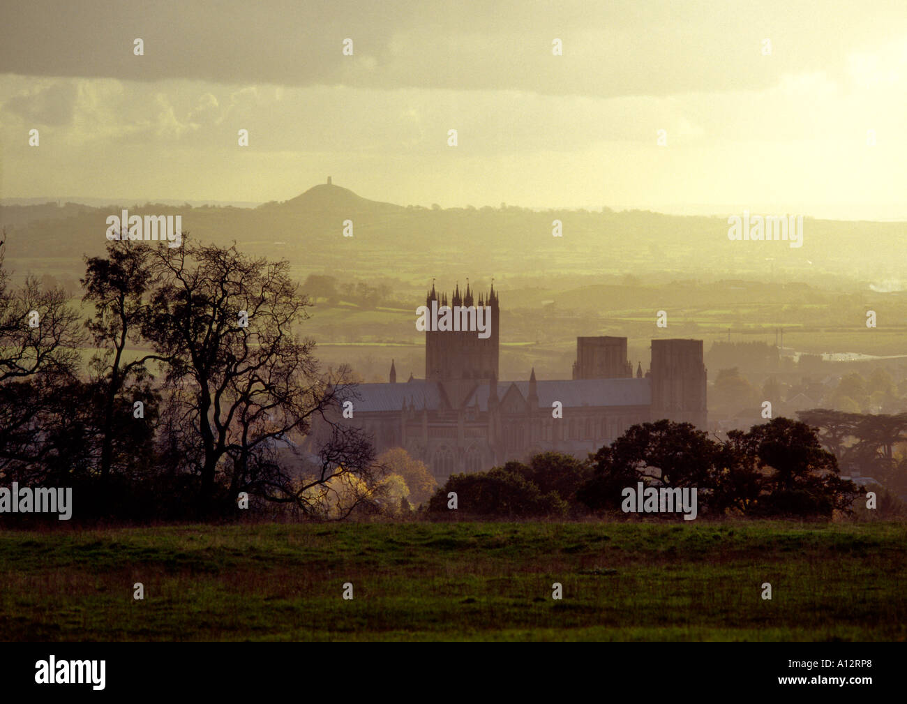 Wells Cathedral Somerset from the northeast in evening light with Glastonbury Tor in distance Stock Photo