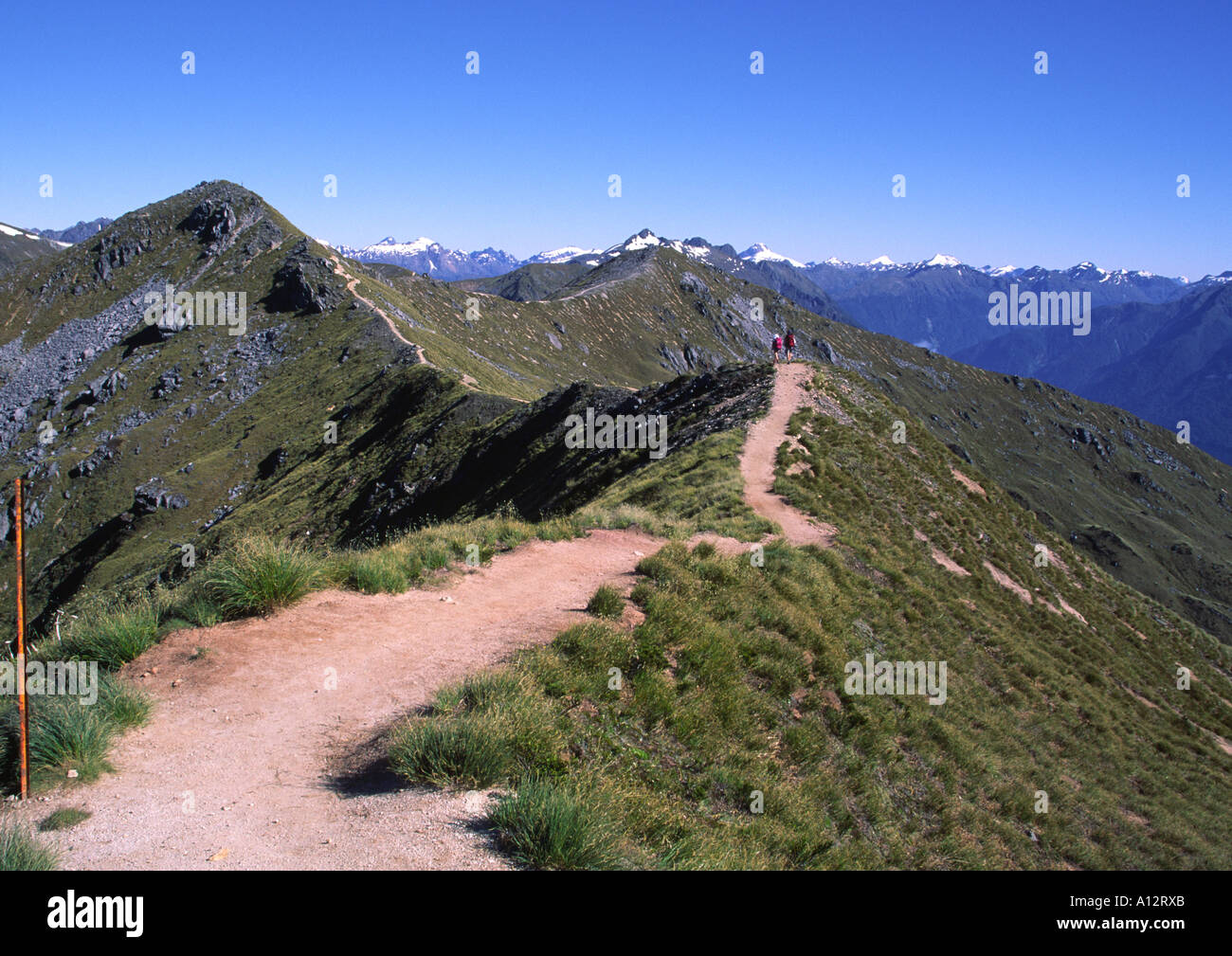 Kepler Track Ridge Kepler Track, New Zealand Stock Photo - Alamy