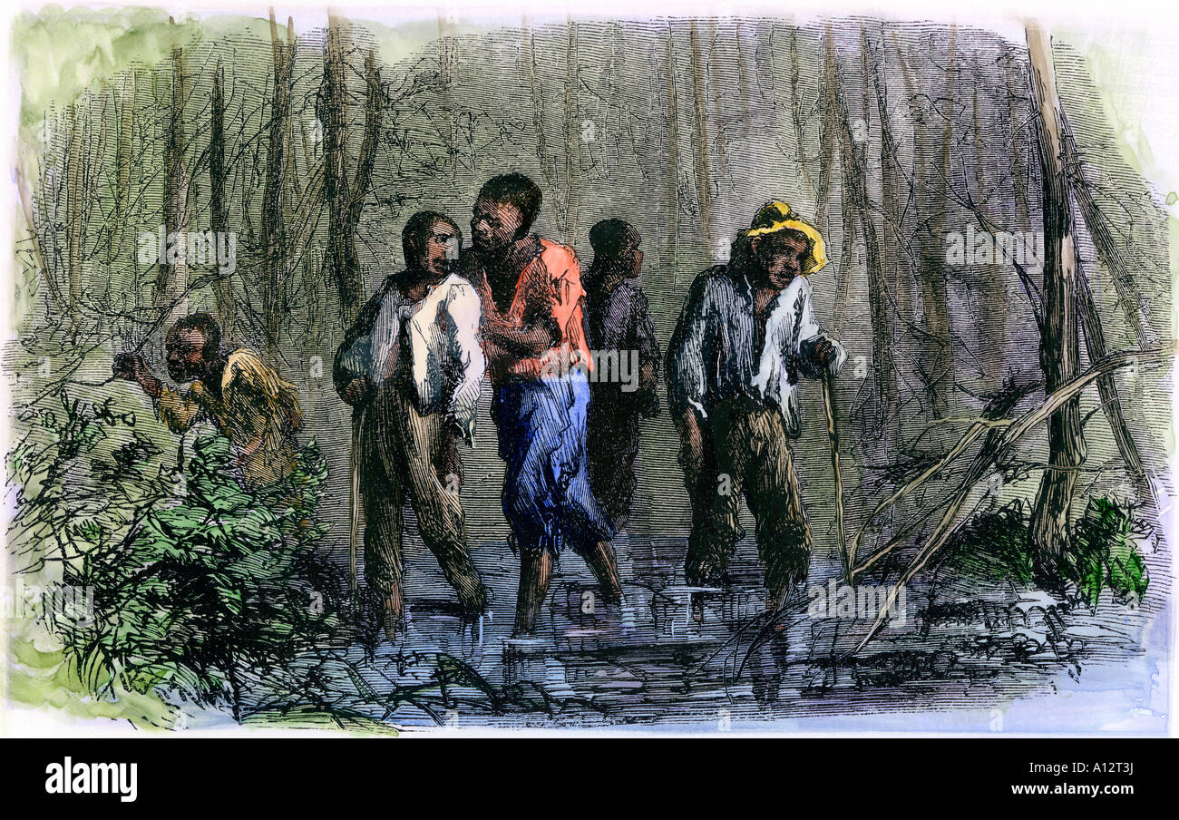 Slaves escaping to the North through southern swamps during US Civil War. Hand-colored woodcut Stock Photo