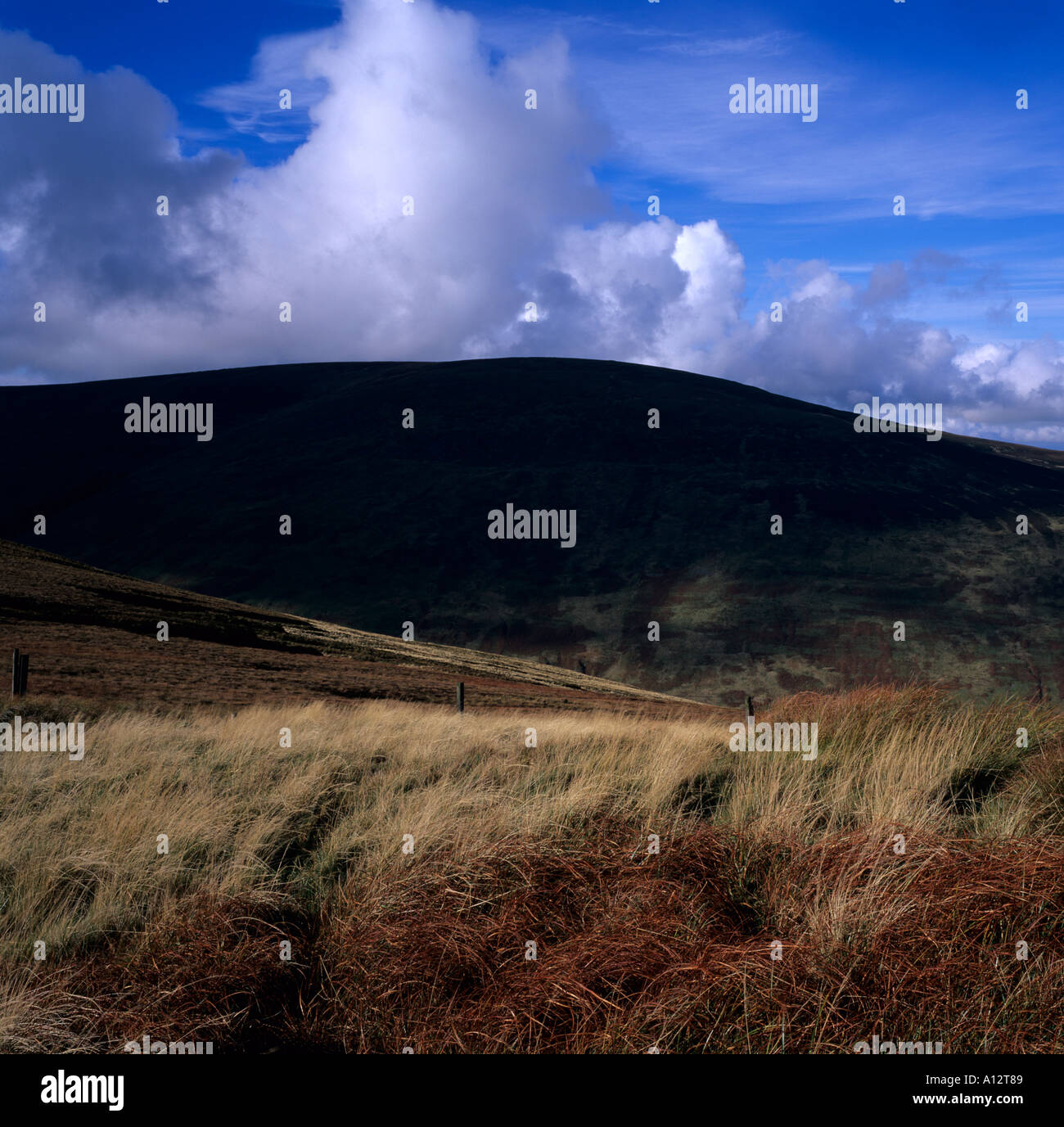 Cheviot hills northumberland hi-res stock photography and images - Alamy