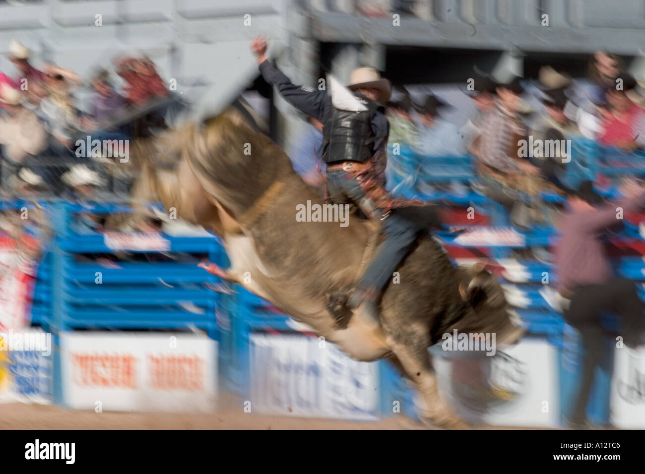 A rodeo bull riding competition Stock Photo Alamy