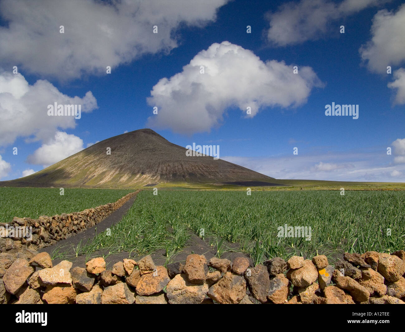 Fertile Soil Volcano
