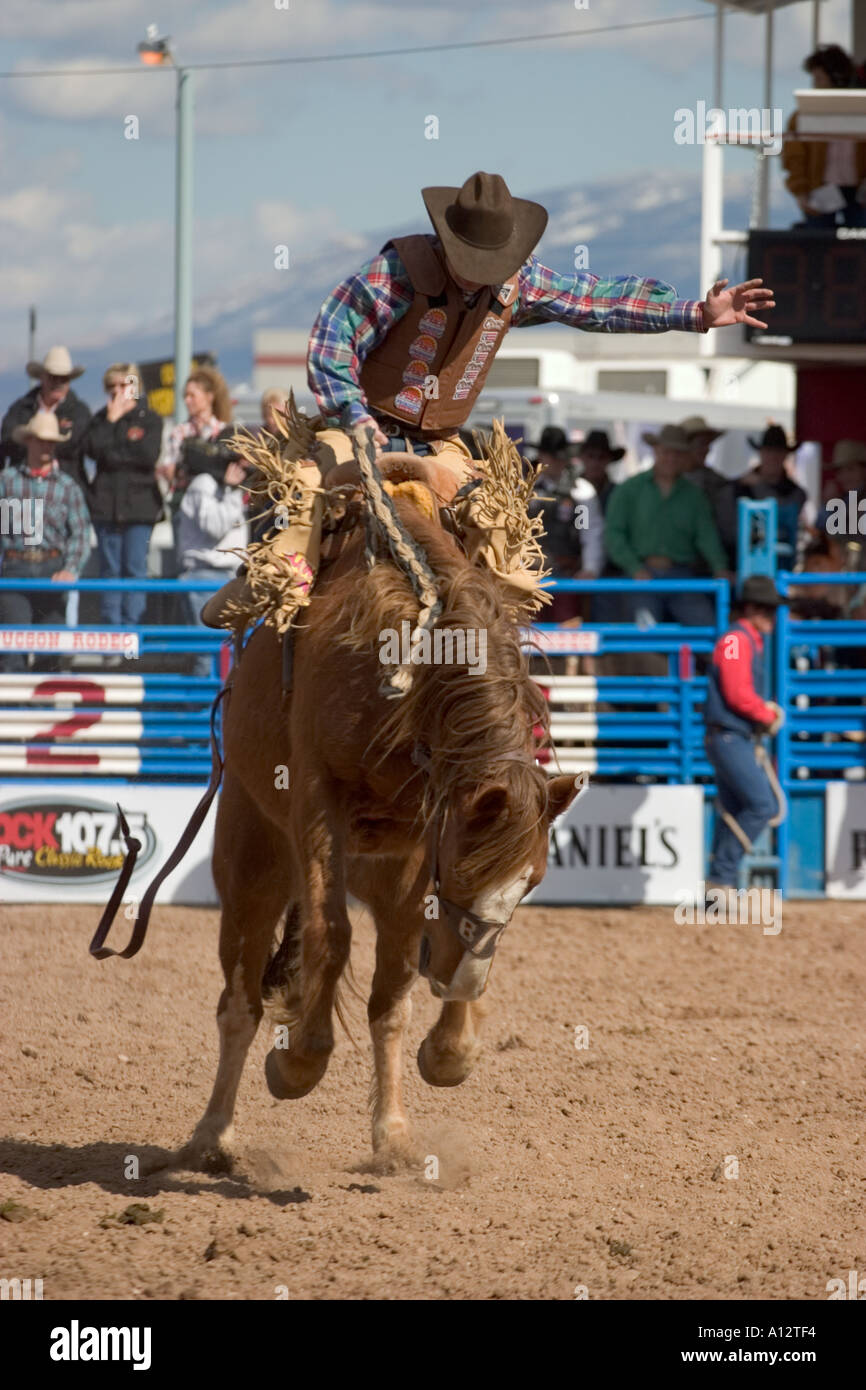 Rodeo cowboy riding untamed wild bronco hi-res stock photography and ...