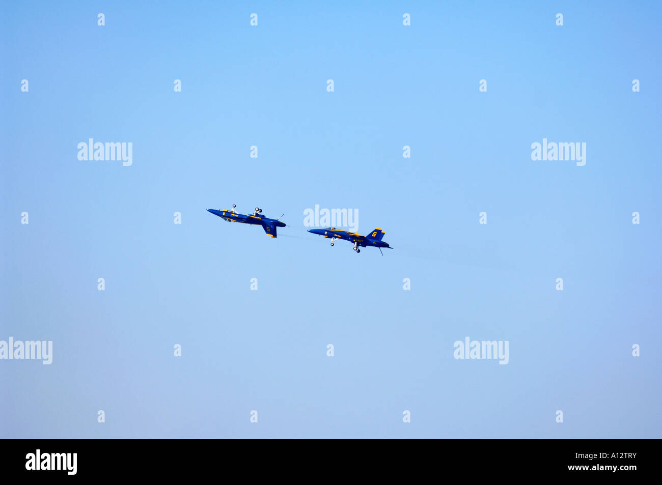 Blue Angels main image 0