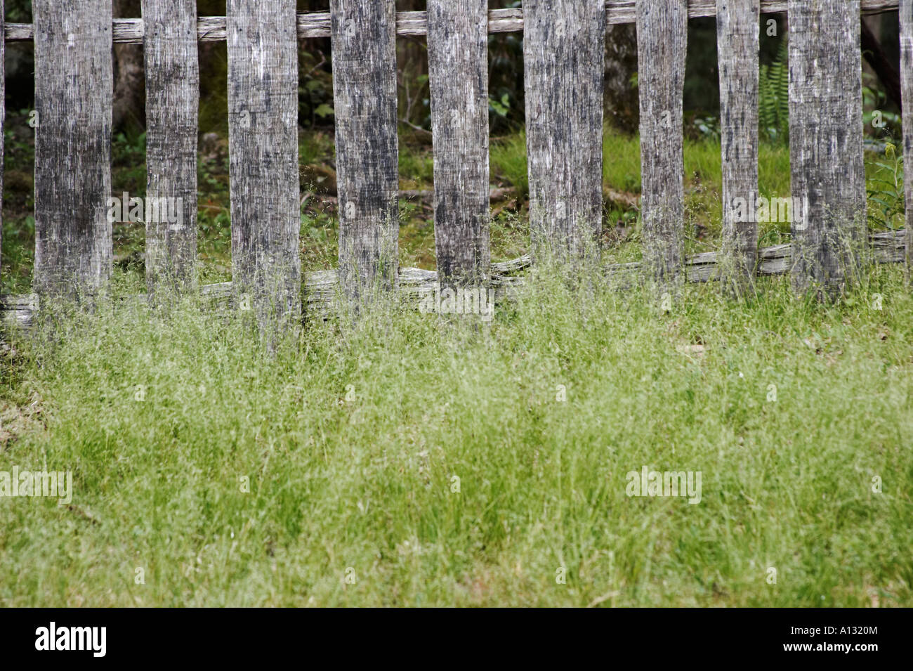 Old fence and grass Stock Photo - Alamy