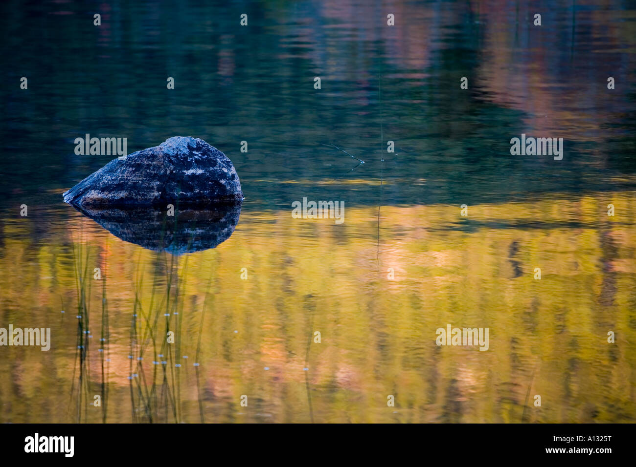 Brilliant Fall Color Reflection Stock Photo - Alamy