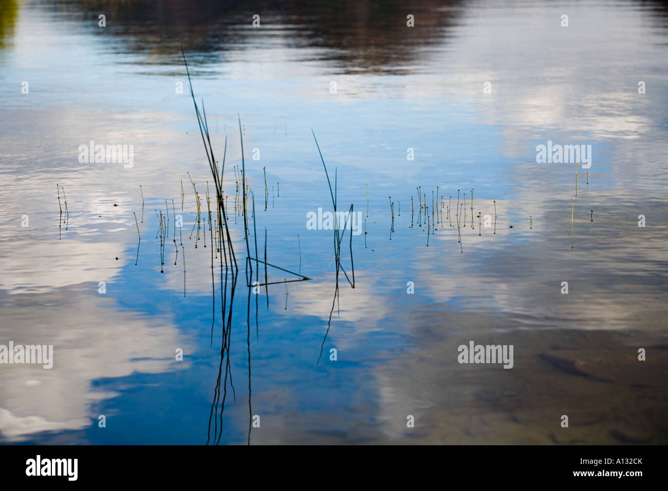 Brilliant Fall Color Reflection Stock Photo - Alamy