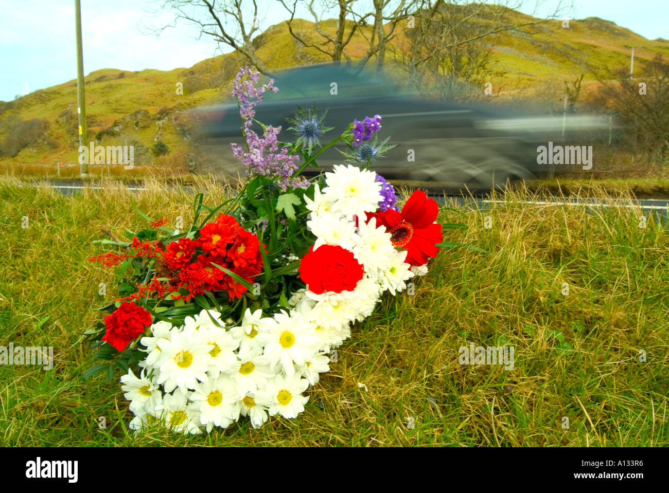 Speeding car passing flowers on road side Stock Photo Alamy