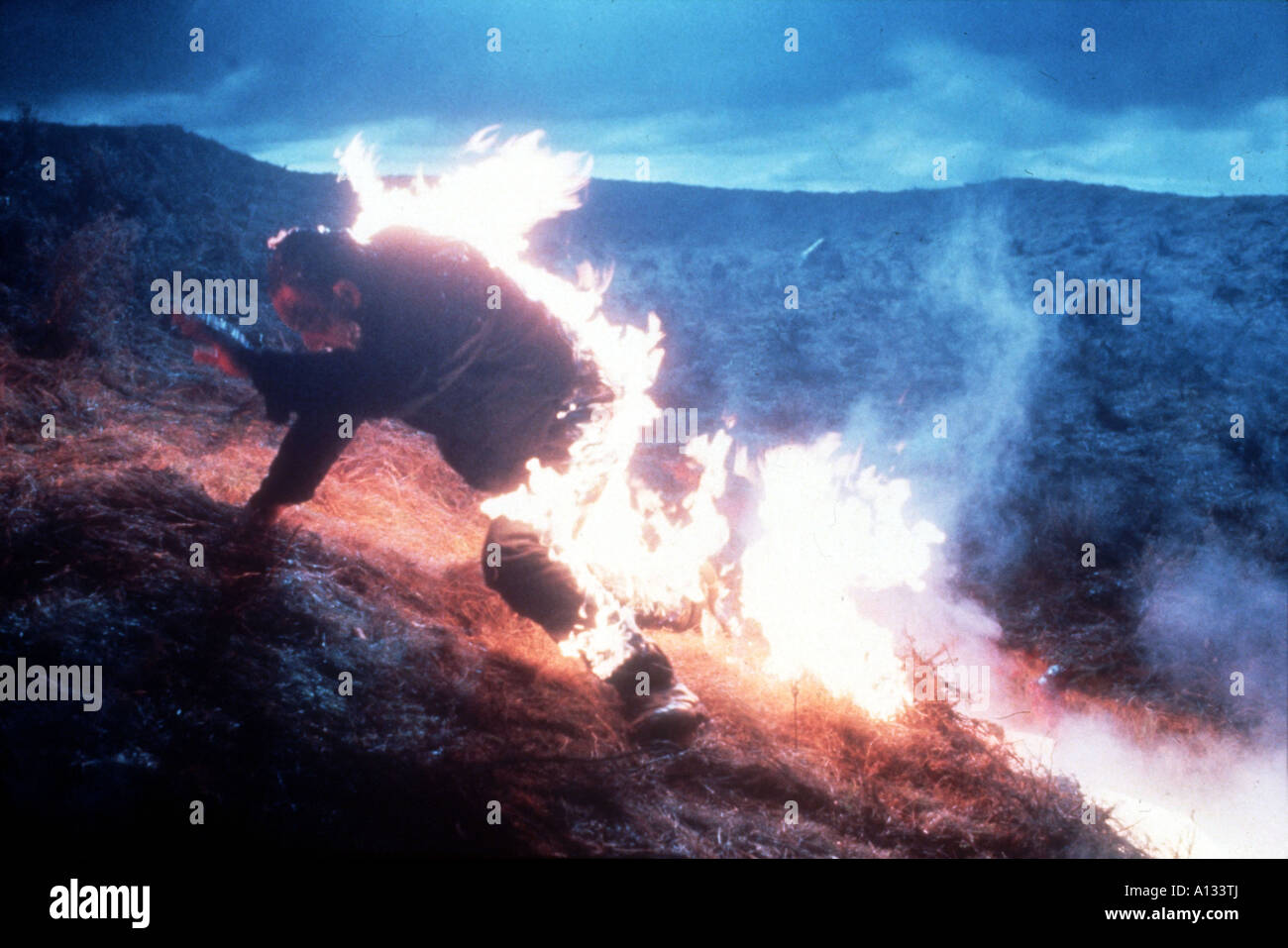 Paper house 1988 bernard rose hires stock photography and images Alamy