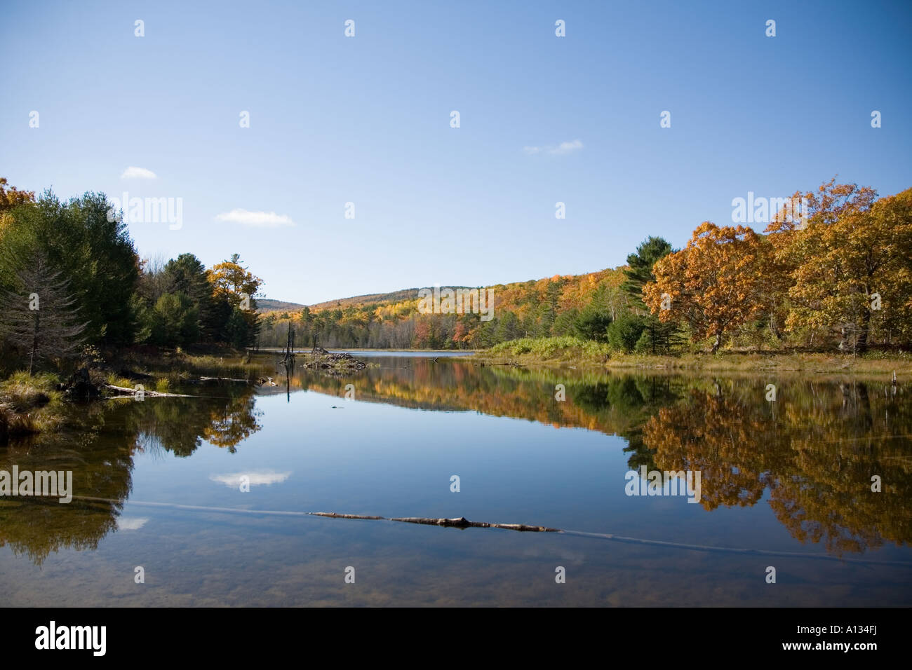 Fall Foliage in Acadia National Park Stock Photo Alamy