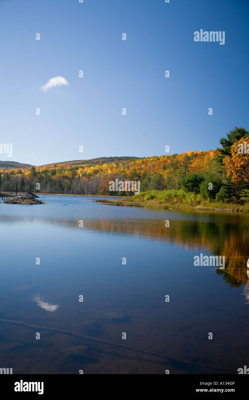 Fall Foliage in Acadia National Park Stock Photo Alamy