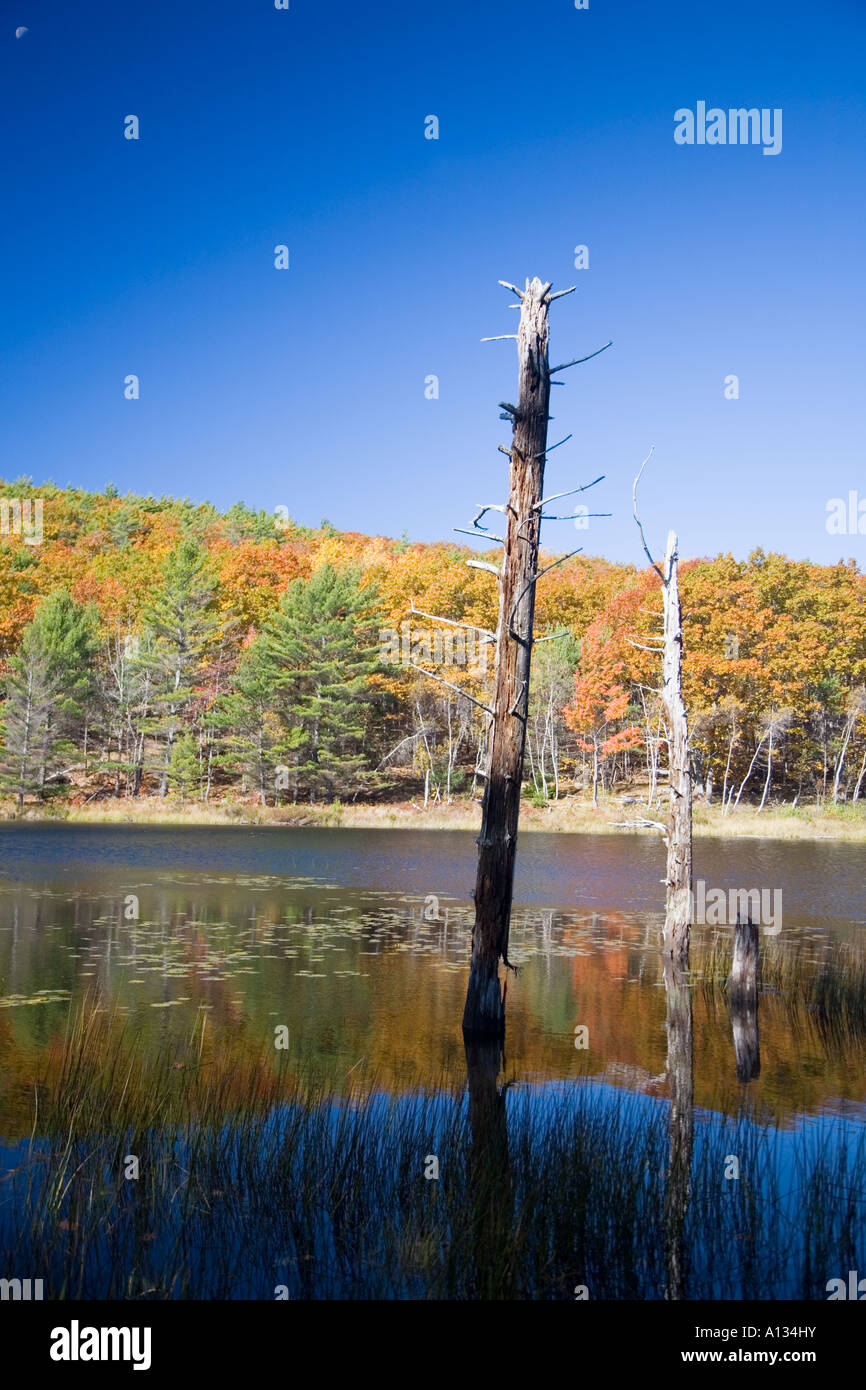 Fall Foliage in Acadia National Park Stock Photo Alamy