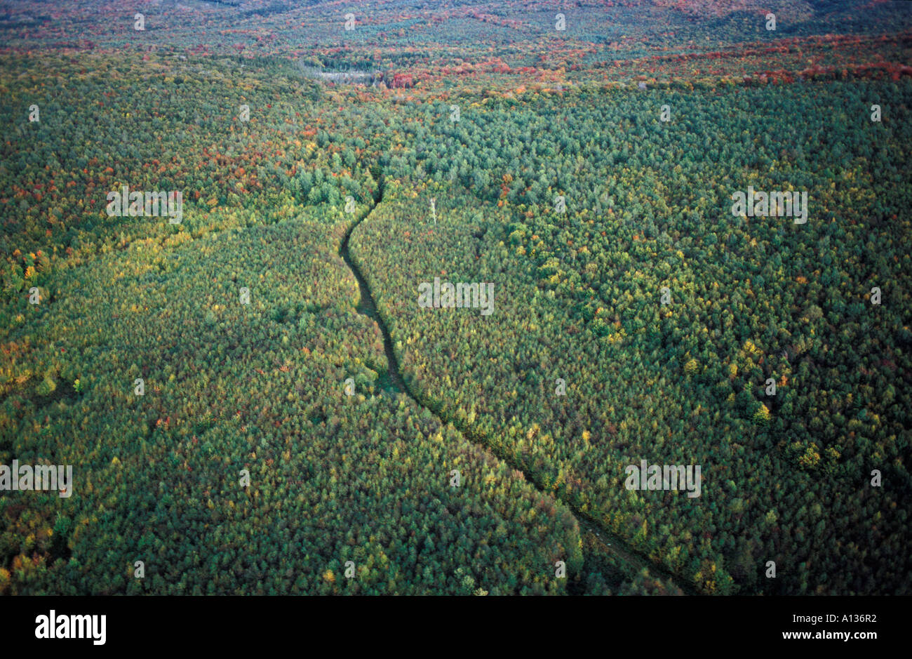 White mountain national forest hi-res stock photography and images - Alamy