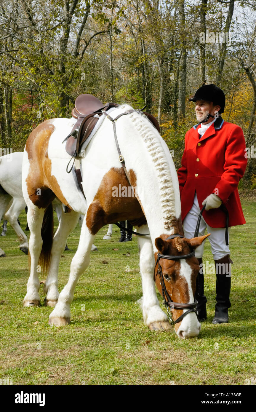 Foxhunter with horse Stock Photo
