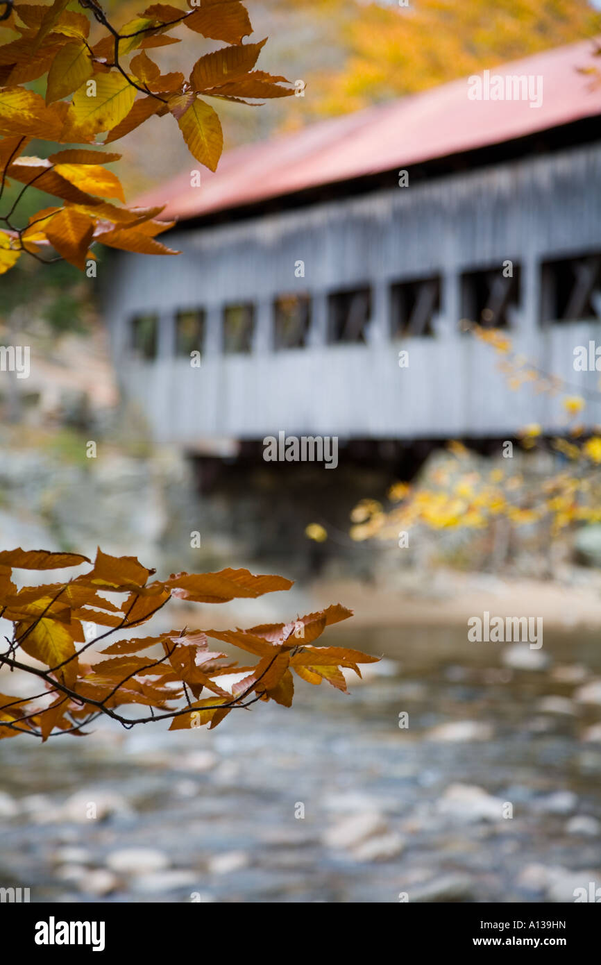 Covered Bridge in Fall Foliage Stock Photo - Alamy