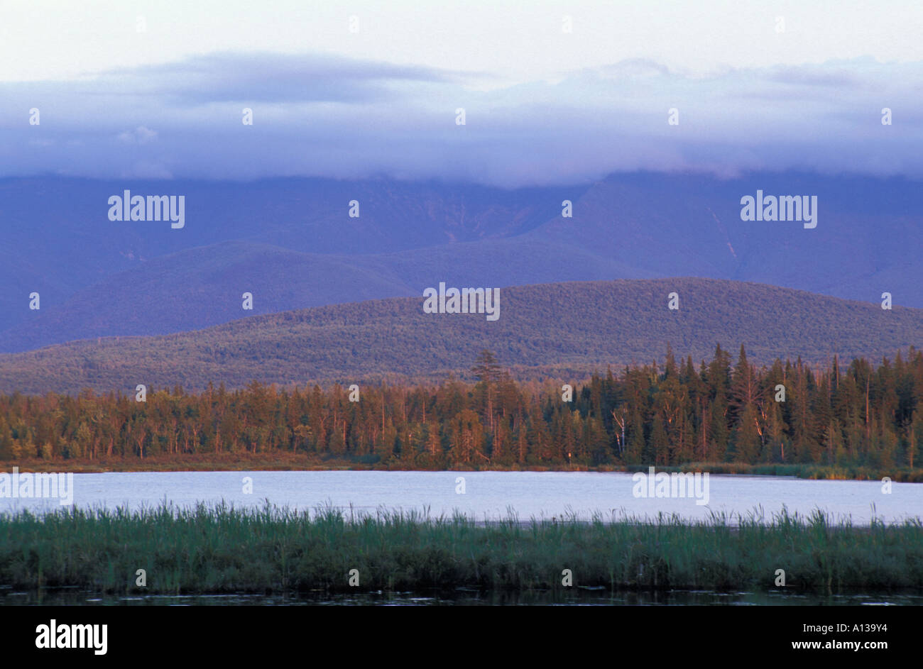 Dusk at Cherry Pond Pondicherry National Wildlife Refuge White Mountains Presidential Range is in the distance Jefferson, NH Stock Photo