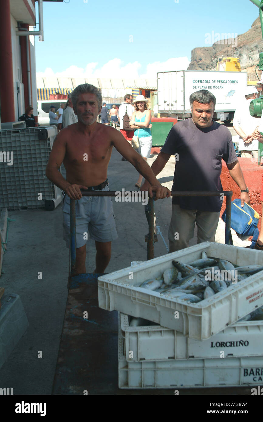Fisherman landing the catch, Puerto Mogan, Gran Canaria Stock Photo Alamy